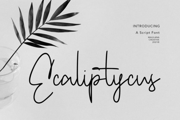 Ecaliptycus Script: A Delicate Touch for Elegant Designs
