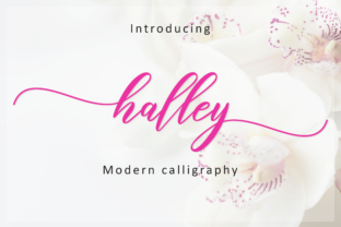 Halley Script: A Light and Romantic Handwritten Font with Charming Swashes